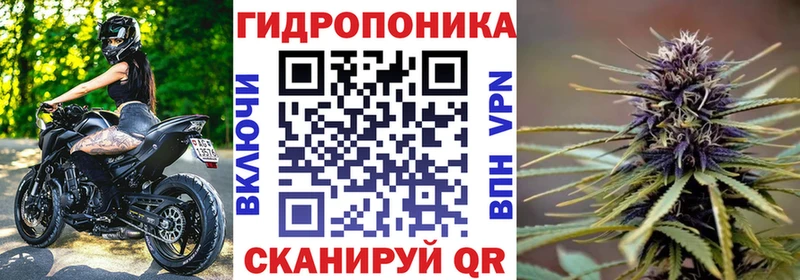 Каннабис SATIVA & INDICA  купить закладку  Балахна 